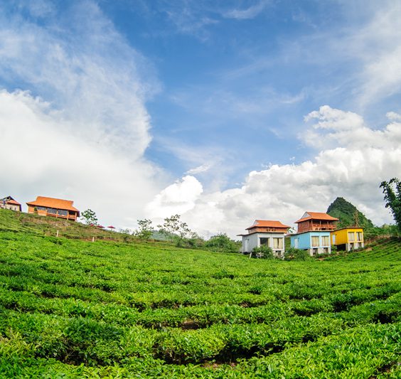 Arena Village Mộc Châu