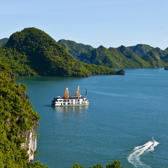 Pelican Cruises Halong