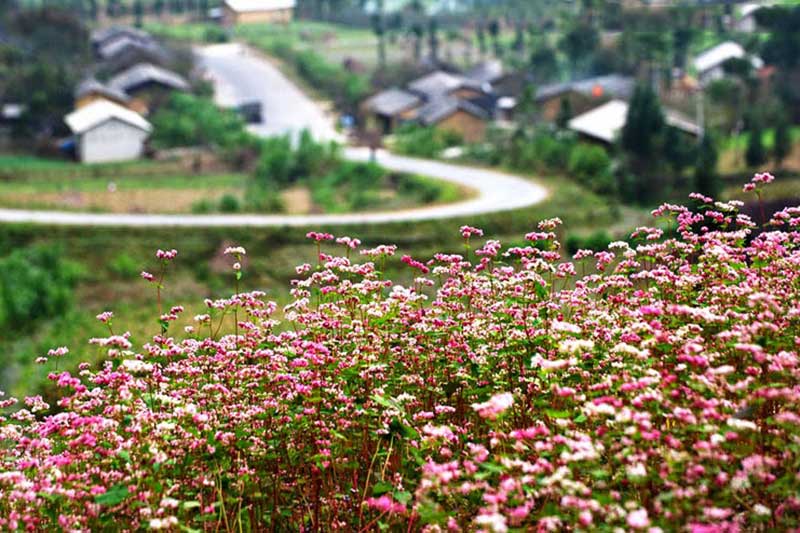 thung lũng sủng là hà giang