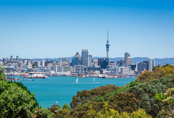 auckland skyline view