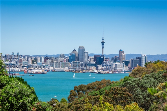 auckland skyline view