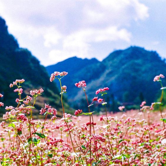 Hà Giang